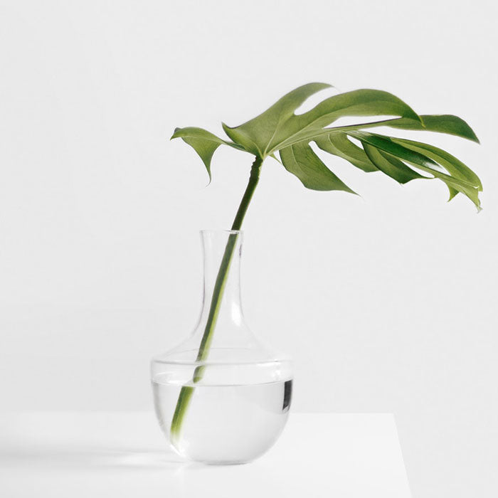 Demo Product Title